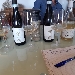 Azienda Colle del Bricco di Matteo Maggi - -