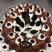 Bab� con panna e cioccolato - -