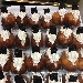 Bab� con panna e decorazioni al cioccolato - -