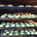 Bab� in forno - -