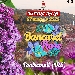 Bancarel Fiore - -