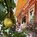 Bar Calise ad Ischia Porto - -