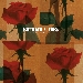 Battiato New Fleurs - -