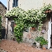 BeB La Torretta di Cerretto Grue - -