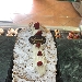 Bign� alle mandorle e panna - -