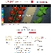 Blog standard - -
