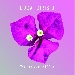 Bouganville - Luca Dirisio - -
