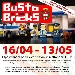 Busto Bricks - -
