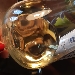 CHARDONNAY DOC Vini Rocco Pepe - -