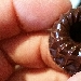 Cacao mon amour - -