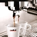 Caff� Trucillo - -
