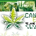 Canapa Expo 2019 - -