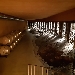 Canus Srl Societ� Agricola - -