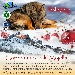 Capodanno sulla Majella - -