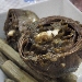 Carciofi stufati - -