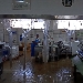 Caseificio - foto inviata da Eduardo Cagnazzi
