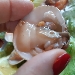 Cena con 