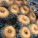 Ciambelle in frittura - -