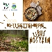 Cibus nostrum - -