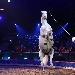 Circo Togni a Napoli: tutto esaurito, proroga fino a carnevale. Premier� la maschera pi� stravagante
 - -