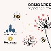 Conoscere le api - -