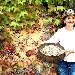Corbella Experience, Secondo appuntamento domenica 17 novembre nel Cilento
 - Continua l'autunno goloso tra mirto e corbezzoli il 17 novembre 2019, ore 10 all'agriturismo Corbella - Cicerale (SA)