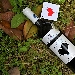 Cuore Perduto vino di punta della Tenuta Toscanelli - -