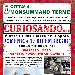 Curiosando... - -