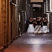 Da mercoled� 29 marzo: F.Pl. Femminile Plurale presenta 