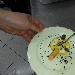 Dessert con maionese dolce, baccal�, scaglie di cioccolato con peperoncino - -