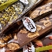 Dolciterre - -