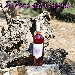 Ecce Vinum, IGP Paestum Rosato della Tenuta Massanova di Perdifumo (SA) - Vino dal colore cerasuolo carico. Al naso sentori di frutta rossa, in particolare ciliegia matura, con sfumature di rosa. Al palato si percepisce la buona struttura del vino, anche se dotato di ottima acidit� che ne rende piacevole l'assaggio, lasciando la bocca pulita.
Pu� essere usato come aperitivo o abbinato a formaggi freschi, piatti a base di pesce o carni bianche leggere.
Di questo vino � presente la scheda nella 