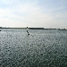 Ente Parco Regionale dei Campi Flegrei: Servizio di Striscia la notizia su pesca di frodo nel Lago Fusaro
 - -