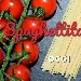 Eventi di oggi - -
