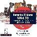 Exp� Cani di razza e Meticci - -