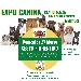Expo Canina - -