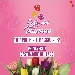 Festa del Tulipano - -