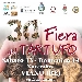 Fiera del tartufo - -