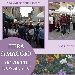 Fiera di Maggio - -