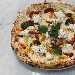 Filetto di pomodoro sia giallo che rosso del Vesuvio, ciuffi di ricotta di bufala, fior di latte della latteria Sorrentino e pepe - -