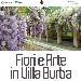 Fiori e Arte in Villa Burba - -