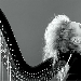 Floraleda Sacchi - -