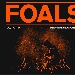 Foals - -