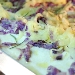 Focaccia con le due patate - -