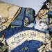 Gatto turco - Maribel (Siviglia)