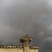 Cicogna su colonna romana - Maribel (Siviglia)