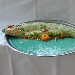 Salmone in bella vista - Mario Vacca (Berlino)