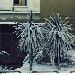 Sorso (Sassari) sotto la neve - Salvatore