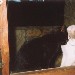 Gattini - Riccardo di Palermo