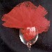Bicchiere ornamentale rosso - Laura Siena di Roma - http://www.spaghettitaliani.com/Rubriche/DiventiamoArtisti.html